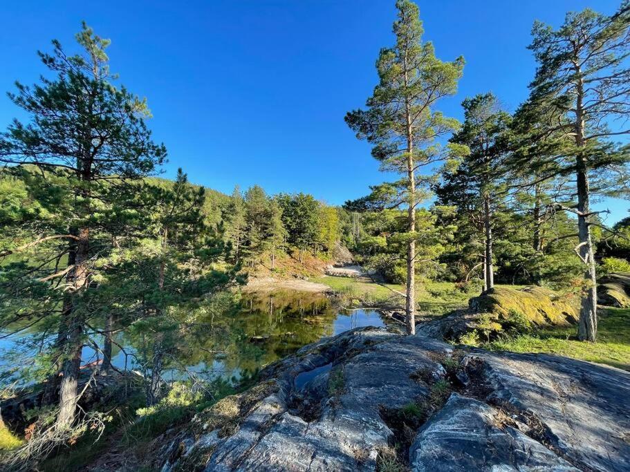 Bosvik Gard, Nyrenovert Leilighet I Hovedhus Fra 1756 Risør Eksteriør billede